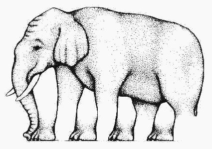 How many legs does this elephant have?